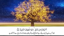 Surah Mulk with Urdu translation - Beautiful Quran Recitation - Quran with Urdu-Hindi Translation