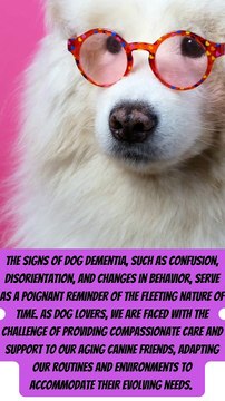 The signs of dog dementia, such as confusion, disorientation, and changes in behavior, serve as a poignant reminder of the fleeting nature of time. As dog lovers, we are faced with the challenge of providing compas