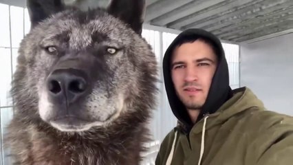 40 Biggest Creatures Ever Caught On Camera!