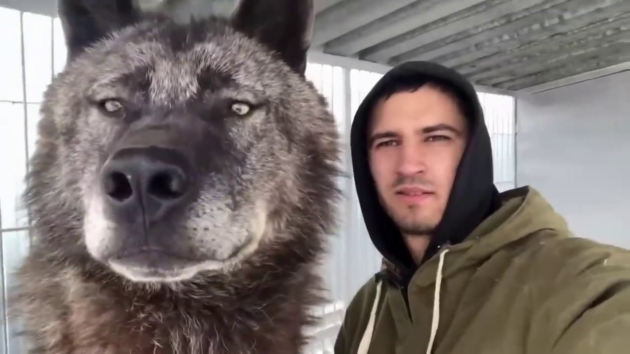 40 Biggest Creatures Ever Caught On Camera!