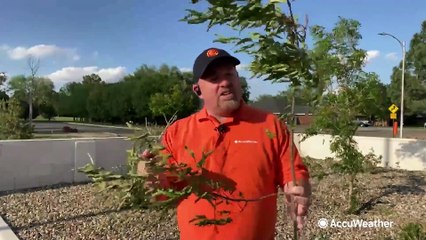 Severe storms knock out power to New Mexico towns