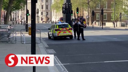 One arrested after car crashes into Downing Street gates
