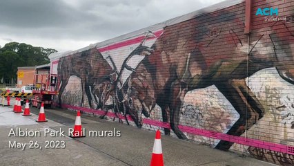 Urban art in Albion Park, Warilla - Illawarra Mercury - May 2023