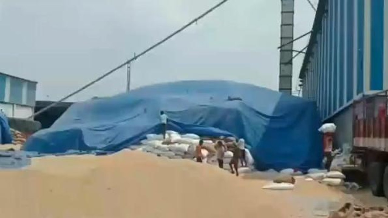 సంగారెడ్డి: జిల్లాలో వేగంగా సాగుతున్న ధాన్యం సేకరణ..!