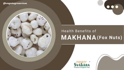 Impressive Benefits of Makhana Fox Nuts, Know about some Side Effects