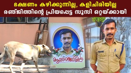 രഞ്ജിത്തിന്റെ പ്രിയപ്പെട്ട സൂസി ഒറ്റയ്ക്കായി ചാക്ക ഫയർ സ്റ്റേഷനിലെ വളർത്തുനായയുടെ ഉള്ളുലയും സ്നേഹം