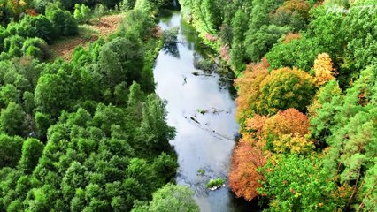 Zen Meditation Music for Serenity