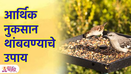 जीवनात सुखसमृद्धी नांदावी यासाठी उपाय | Vastu Shastra for Home in Marathi | Lokamt Bhakti KA3