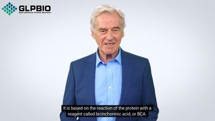 BCA Kit: Quick and Efficient Tool for Protein Quantification | GlpBio