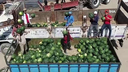 Tescilli Adana karpuzu dünya sofralarını da süslüyor