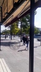 Ankara'da bir ağacı döven adamın görüntüleri kısa sürede viral oldu