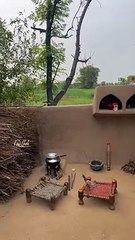 70 to 80 years Old But Old Is gold