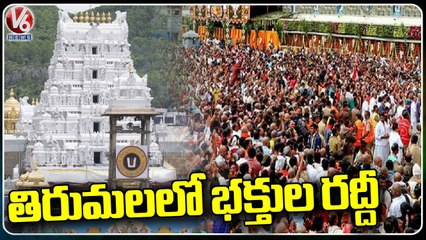 Huge Devotees  Rush At Tirumala _ Andhra Pradesh _ V6 News