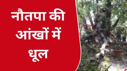 उदयपुर : तेज आंधी से शहर में गिरे पेड़, देखे विडियो !