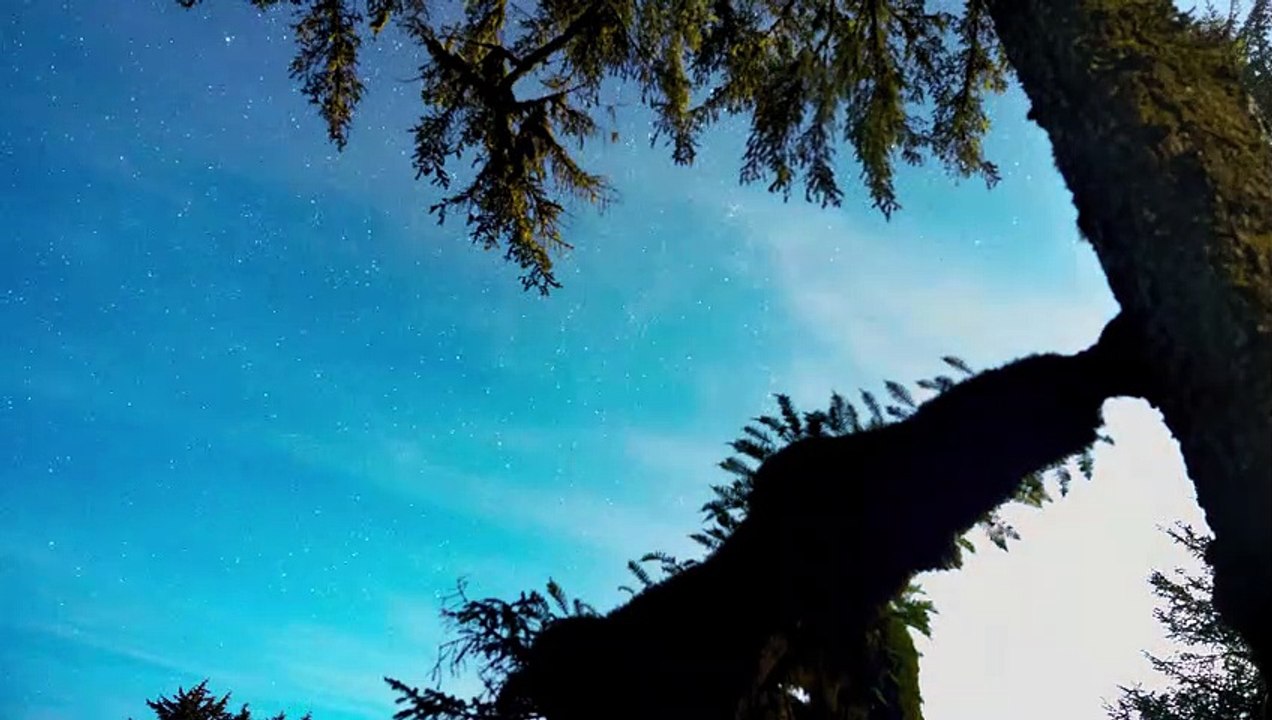 3. PÁCTICA DE MINDFULNESS -MEDITACIÓN GUIADA _ KIKO TAROT ‐