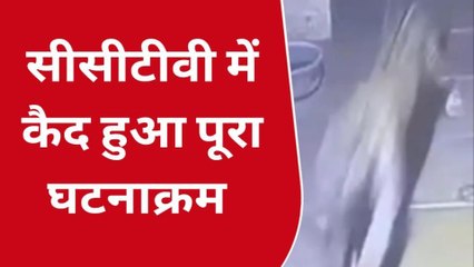 उदयपुर: घर में घुसा तेंदुआ, फिर क्या हुआ, देखिए पूरी खबर