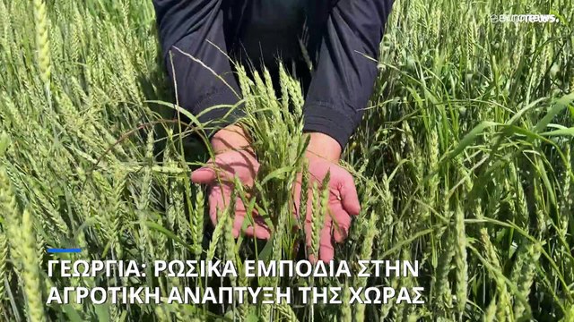 Γεωργία: Ρωσικά εμπόδια στην αγροτική ανάπτυξη της χώρας