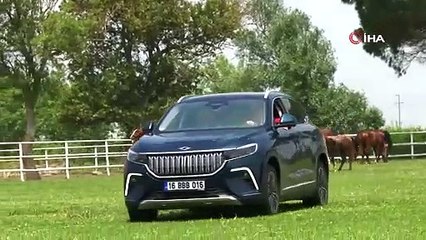 Togg şampiyon atlarla yarıştı