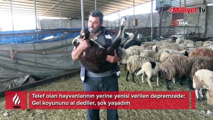 Depreme hayvanları tek tek Telef oldu! Gelen telefon şoke etti