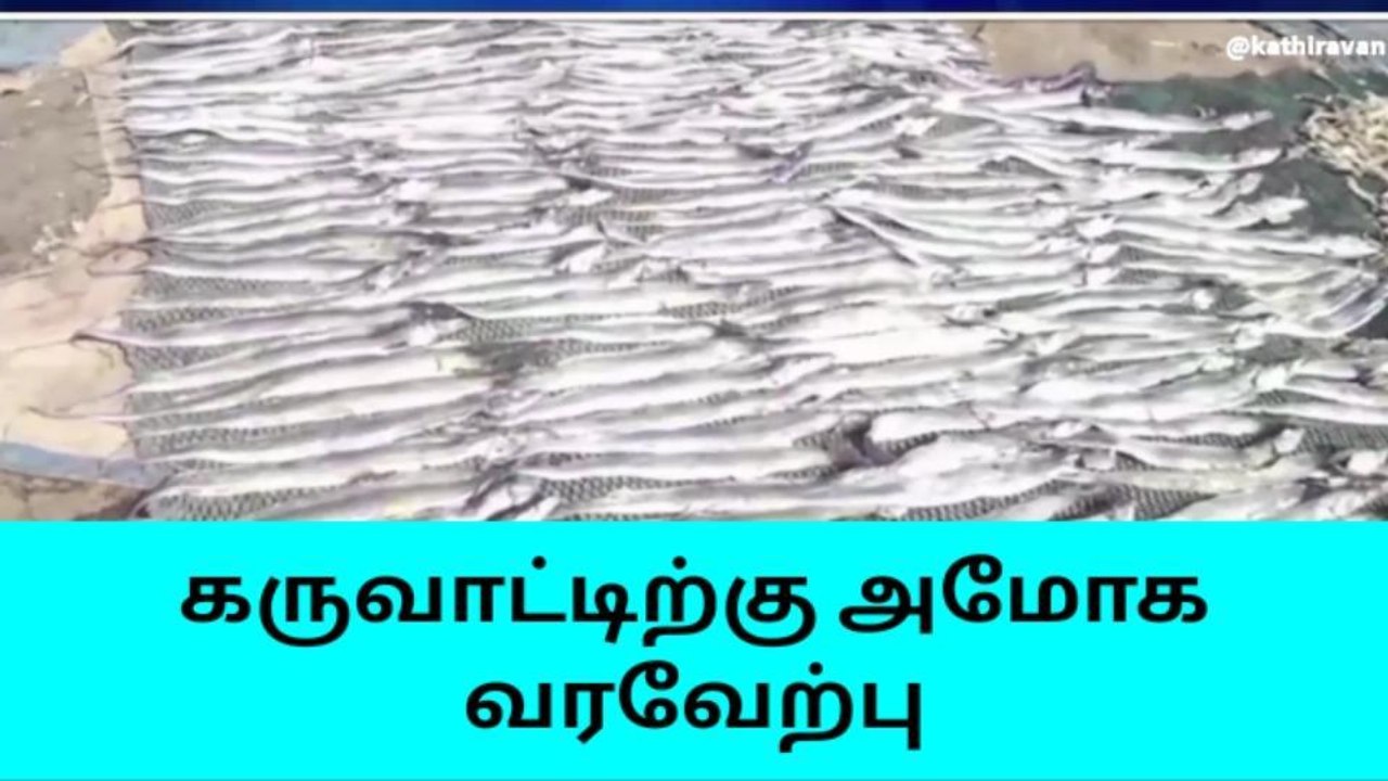 நாகை: கருவாட்டிற்கு அசைவ பிரியர்கள் மத்தியில் வரவேற்பு!