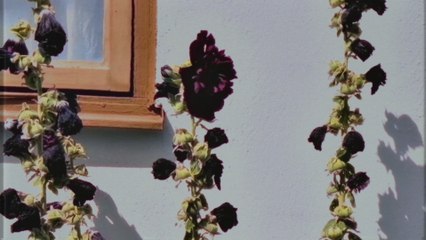 Seinabo Sey - EVERYTHING (Visualizer)