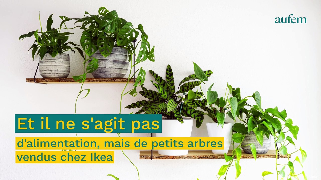 Ikea : cet objet qu'on a tous dans le salon fait l'objet d'un rappel de produits massif