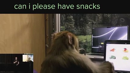 Elon Musk’s Neuralink Event Everything Revealed in 10 Minutes