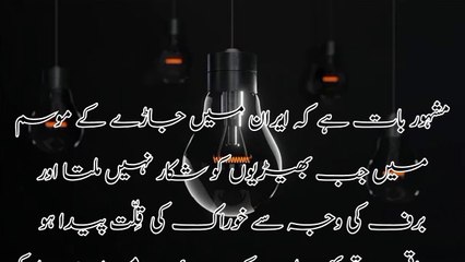 A Best Motivational Story Ever | Kamzor Logo ka Sahara Banay