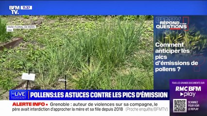 Comment anticiper les pics d'émission de pollens? BFMTV répond à vos questions