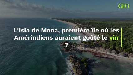 Les Amérindiens auraient-ils goûté le vin pour la première fois sur l’Isla de Mona ?