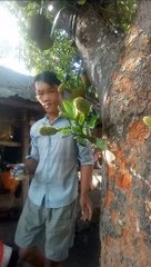 Độc lạ ít ai biết thế này mới ngon hoanglepbach