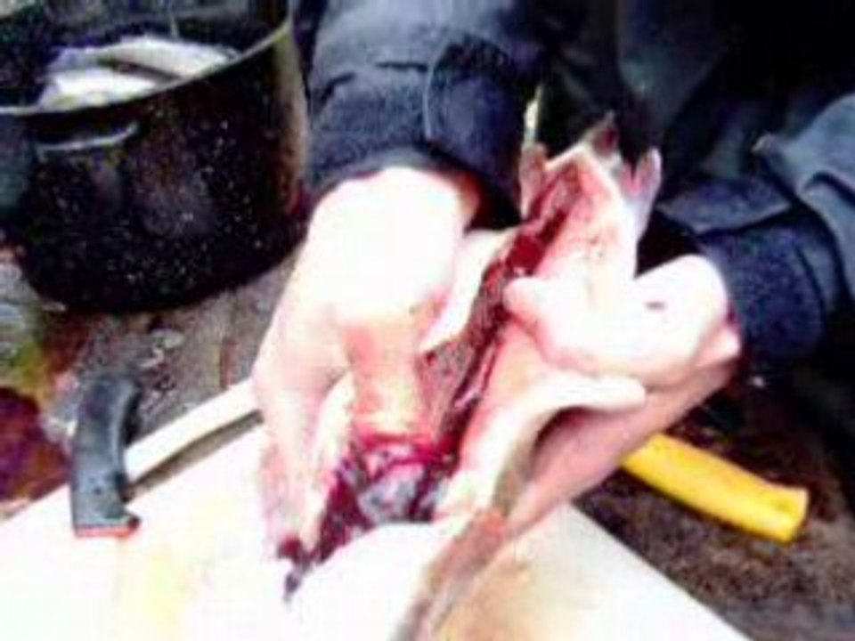 Pêche 2006 014