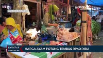 Harga Ayam Potong di Semarang Tembus Rp40 Ribu per Kg