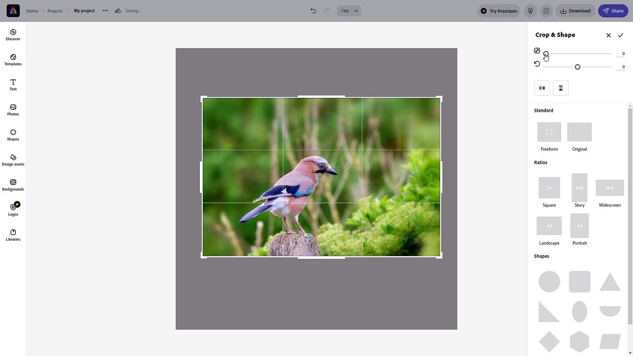 Adobe Express Course Section 9 Flip and Crop Images