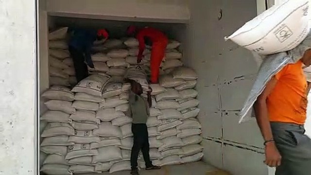 सरकारी खरीद का गेहूं