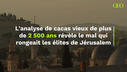 Ce mal qui rongeait les élites de Jérusalem révélé par l’analyse de cacas vieux de plus de 2 500 ans