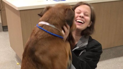 Woman Reunited With Dog Lost For More Than Two Years | Wild-ish TV