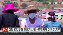 북한, 5월엔 무력도발 없이 '잠잠'…모내기에 총력