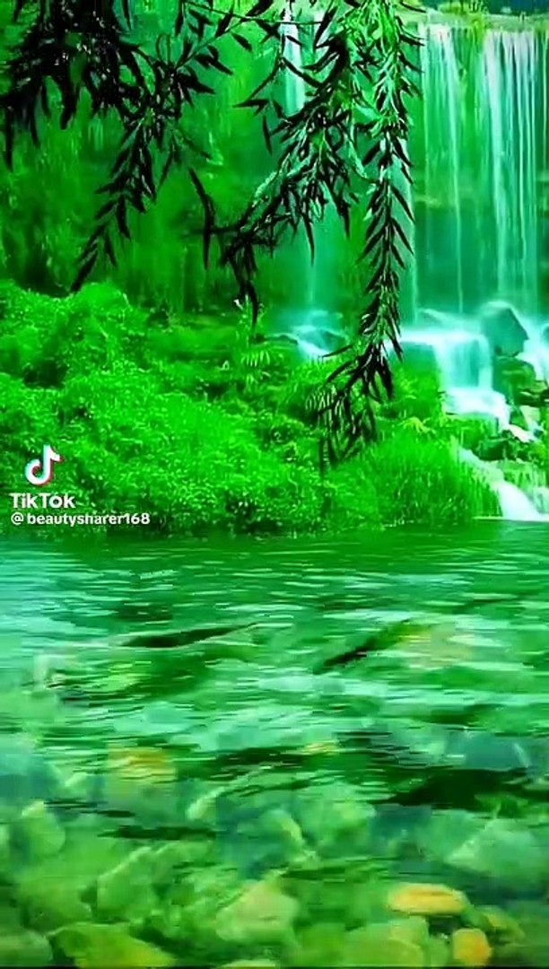 Natural beauty