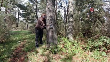 Bolu'da gece karanlığında ortaya çıktı, korku dolu anlar yaşandı!