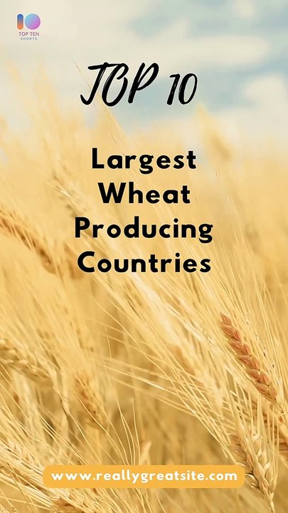 10 Surprising Facts About Wheat Production - #Shorts #top10 #2023 #reels #viral #top10countries  #reels