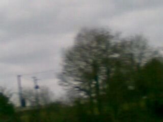 les oies sauvages sont passées