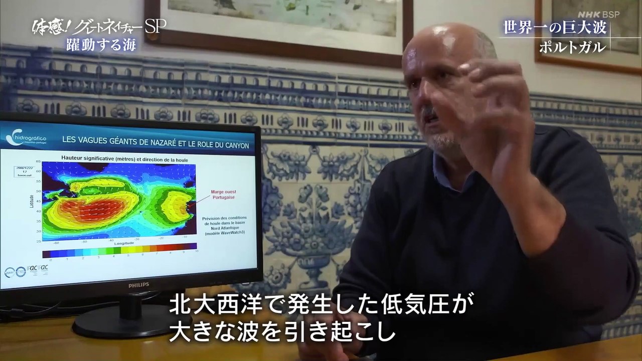 「躍動する海」体感！グレートネイチャー  SP