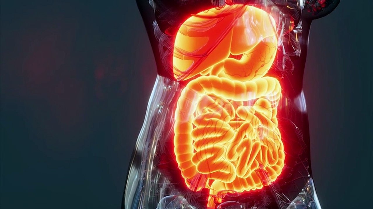 Viaggio nel microbiota: 'Nella donna l'intimo c...