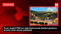 Terör örgütü PKK'nın dağ kadrosunda faaliyet gösteren terörist canlı olarak yakalandı