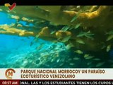Parque Nacional Morrocoy celebra 49 años como destino turístico ecosocialista