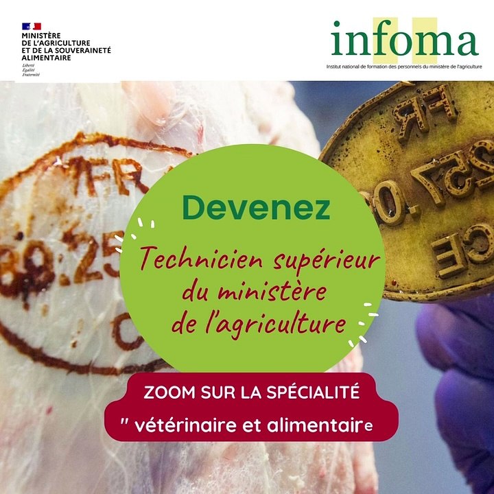 Devenez TSMA spécialité "vétérinaire et alimentaire"