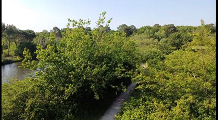 point de vue depuis la réserve du Teich