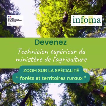 Devenez TSMA spécialité forêts et territoires ruraux