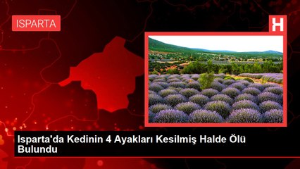 Isparta'da Kedinin 4 Ayakları Kesilmiş Halde Ölü Bulundu